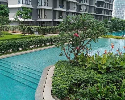 Swimming Pools – Lodha Adrina Worli swimming pool