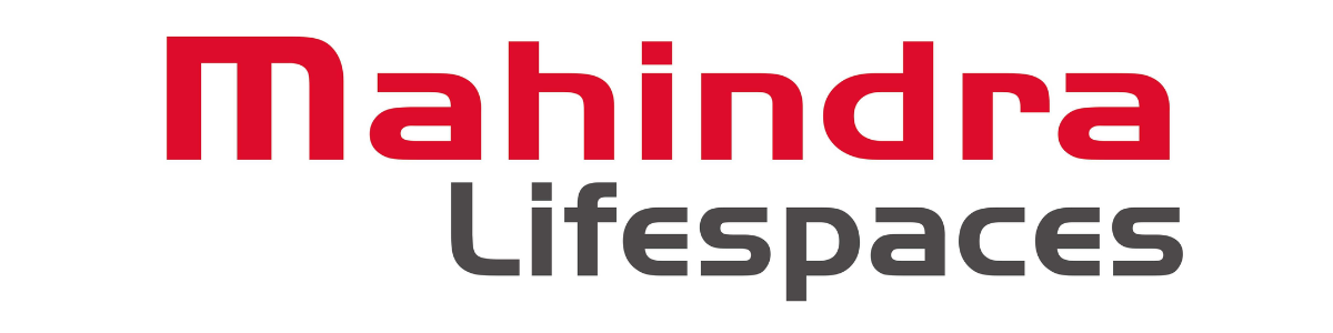  Developer Logo